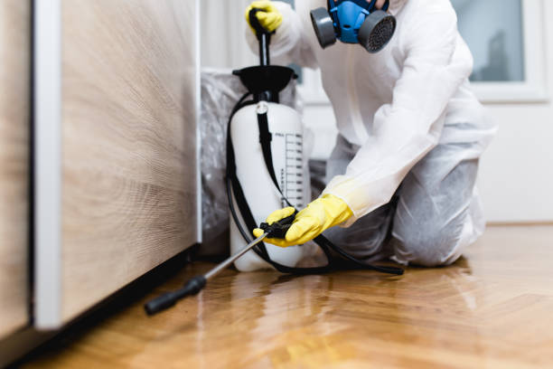 Best Exterminator Services  in Hunter, TN