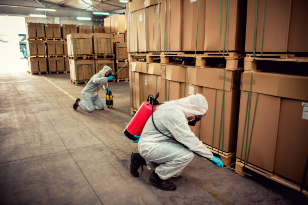Best Mosquito Control Services  in Hunter, TN