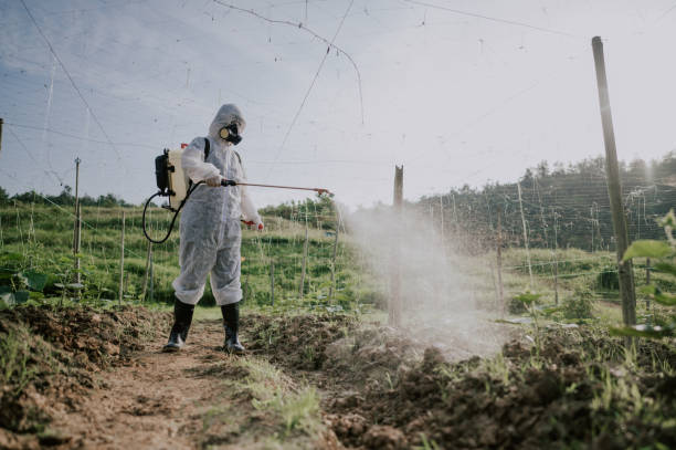 Best Best Pest Control Companies  in Hunter, TN