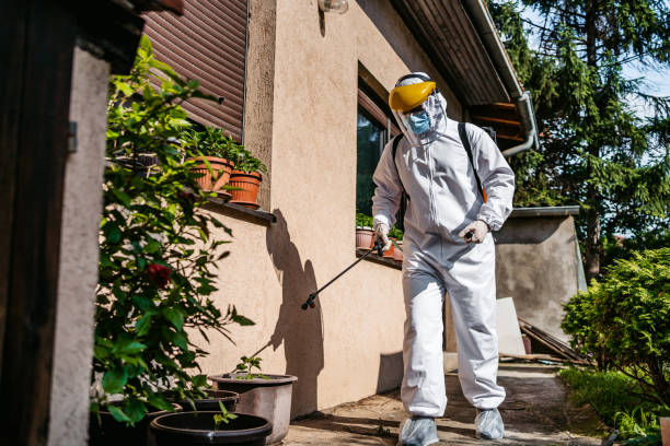 Best Best Pest Control Companies  in Hunter, TN