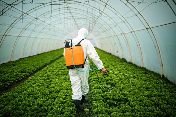 Best Local Pest Control Services  in Hunter, TN