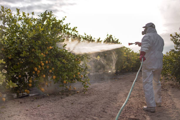 Pest Control Cost in Hunter, TN