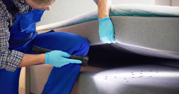 Best Pest Control Cost  in Hunter, TN
