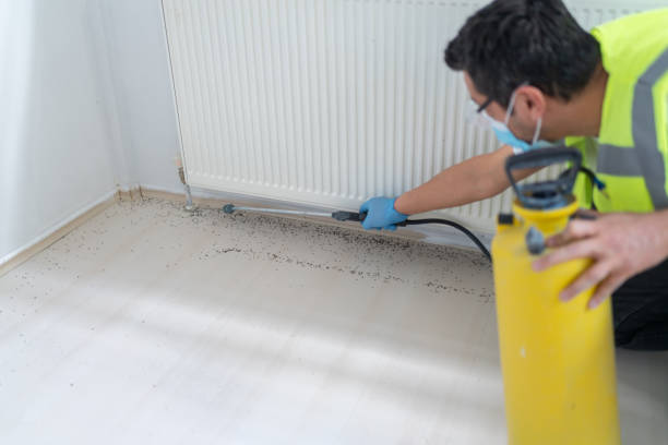 Best Bed Bug Extermination  in Hunter, TN